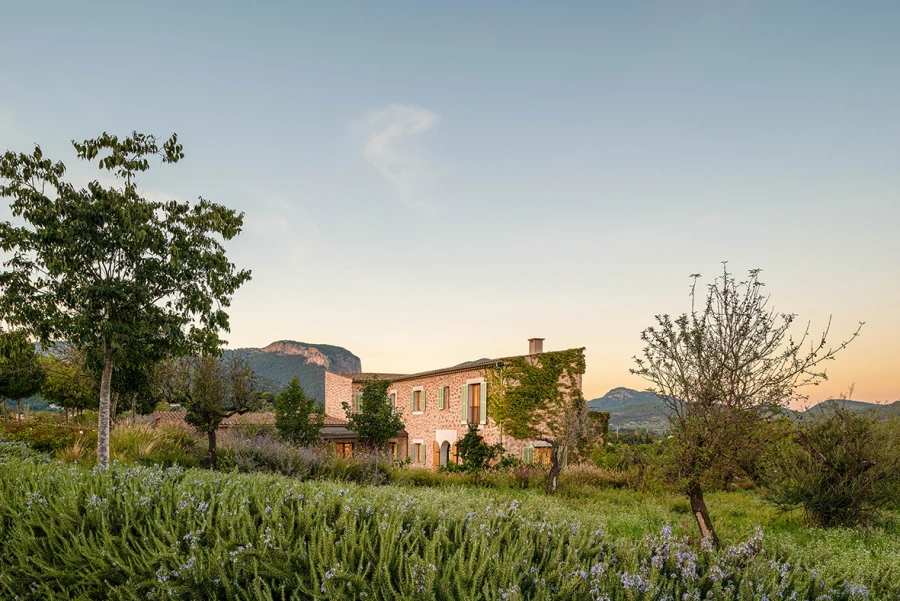 NG10 — Alaró House II